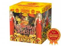 Фейерверк Красивая жизнь РС9640 купить от производителя Русская Пиротехника — Дивногорск
